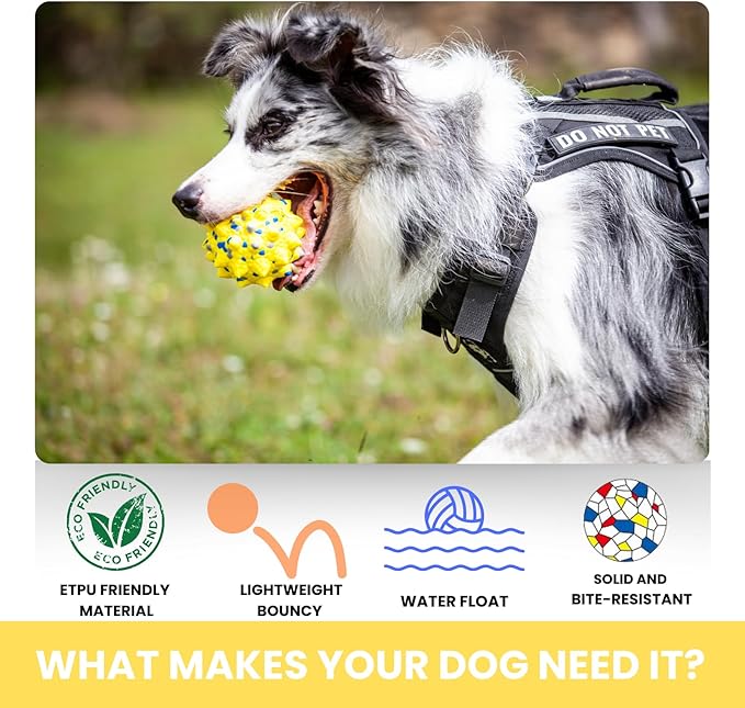 Durable Interactive Dog Toys for Aggressive Chewers,Puppy Teething Toys,Floating Fetch Balls,Bouncing Chew Balls,Tennis Balls for Dogs (2 Balls)-PawvioPets