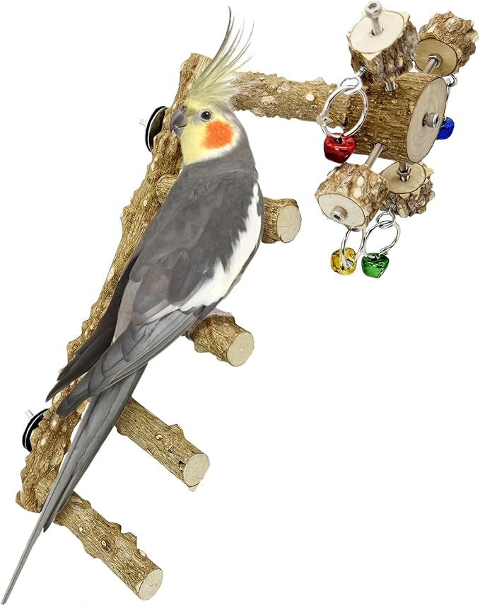 BNOSDM Natural Wood Bird Ladder Perch with Rotating Bell Toys-Exercise Stands for Parrot Climbing Chewing Parakeet Bridge Cage Accessories for Cockatiel, Conures, Lovebirds, Budgie-PawvioPets