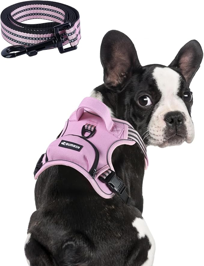 BUMBIN Dog Harness for Large Dogs, No Pull Adjustable No Choke Pet Vest with Dog Leash Fit Smart Reflective Pet Walking Harness for Training Easy Control Soft Handle Pink S-PawvioPets