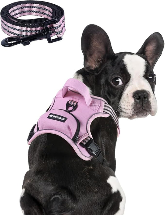 BUMBIN Dog Harness for Large Dogs, No Pull Adjustable No Choke Pet Vest with Dog Leash Fit Smart Reflective Pet Walking Harness for Training Easy Control Soft Handle Pink S-PawvioPets