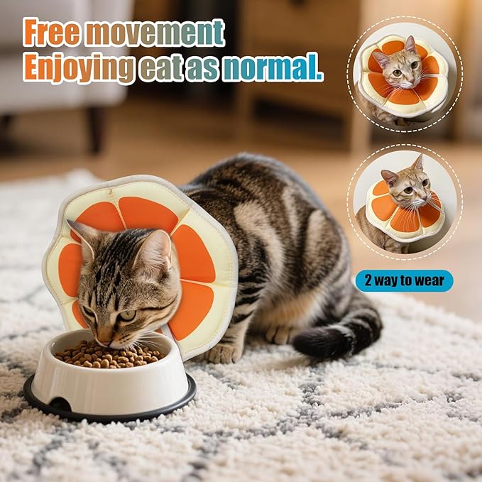 Cat Cone Collar Soft, Adjustable Cat Recovery Collar to Stop Licking After Surgery Protective E Collar for Cats Small Dogs, Orange M-PawvioPets