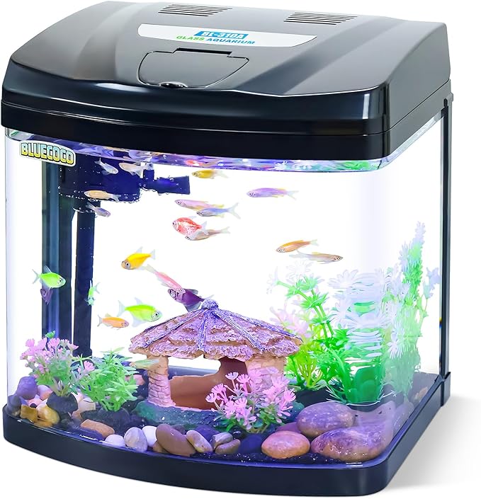 4 Gallon Glass Aquarium Starter Kit with Flip-Top Feeding Port for Betta Fish: Crystal Clear 360° Viewing, Eco-Cycle Filtration, Air Pump, and LED Lighting-PawvioPets