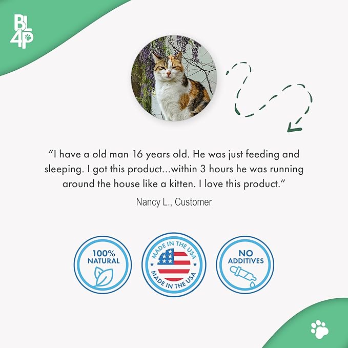Cat Hip and Joint Pain Relief Supplement, Cat Arthritis Pain Relief, Heal from Sprains, Inflammation and Injuries, Improve Mobility, Natural Easy-to-Swallow, Odorless, Tasteless, 400 Pills-PawvioPets