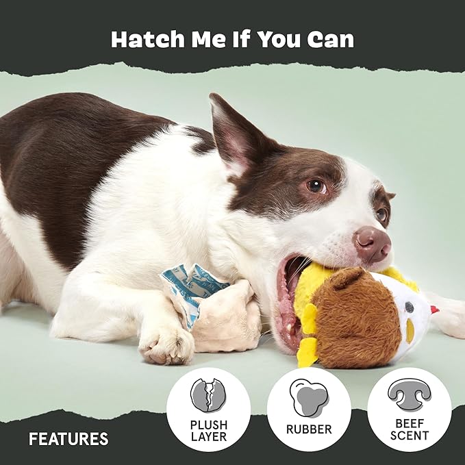 Barkbox Hatch Me If You Can Dog Toy for Medium to Large Aggressive Chewers Two-Layer Tearable Toy with Hidden Surprise Inside for Interactive Playtime-PawvioPets