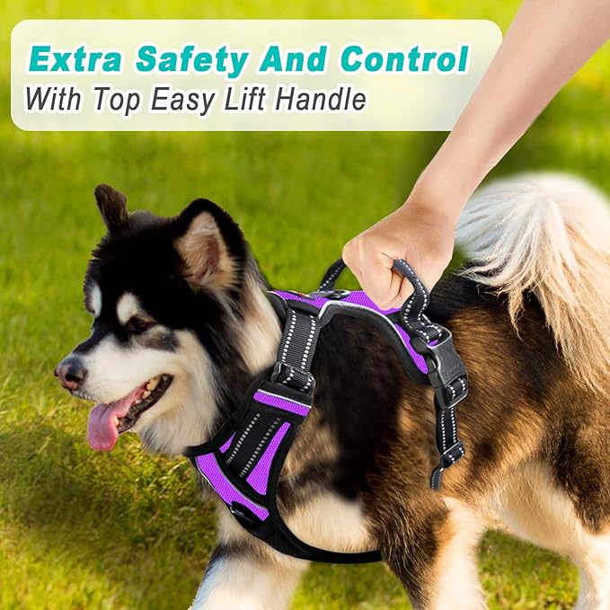 BARKBAY No Pull Dog Harness Large Step in Reflective Dog Harness with Front Clip and Easy Control Handle for Walking Training Running(Purple,M)-PawvioPets