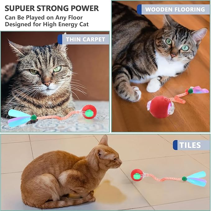 2 Packs Speed 2.0 Tail Interactive Cat Toys for Indoor Cats, Chirping & Motion Activate Ca t Toy, Smart Kitten Rolling Ball Moving Ball Toys, Rechargeable Dog Cat Bal l for Enrichment Exercise-PawvioPets