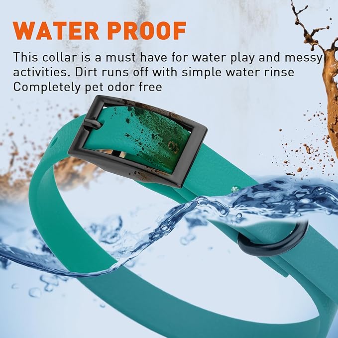 Dogline Biothane Waterproof Dog Collar Strong Coated Nylon Webbing with Black Hardware Odor- Proof for Easy Care Easy to Clean High Performance Fits Small Medium or Large Dogs, Blue Aqua-PawvioPets