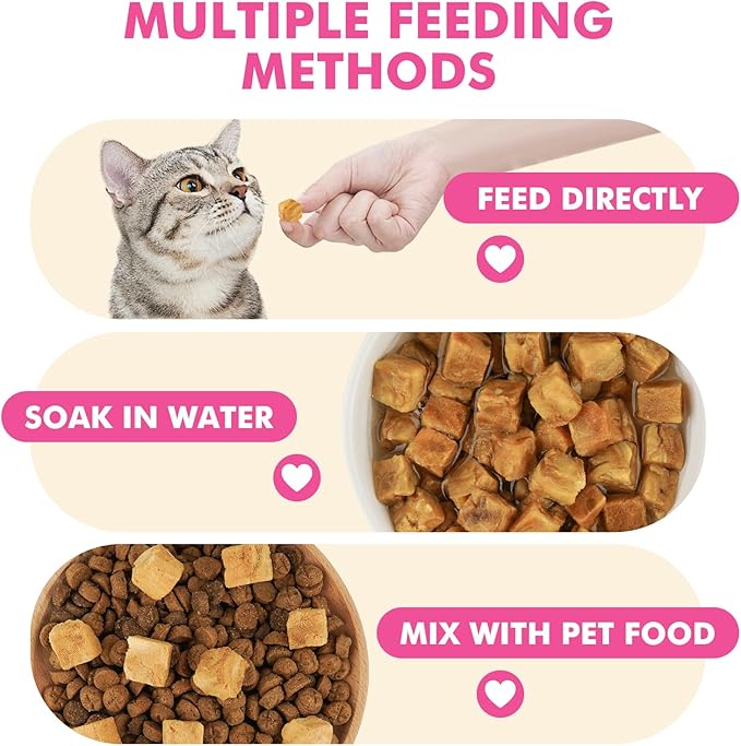 Freeze Dried Cats & Dogs Raw Treats, All Natural Single Ingredient Salmon, High Protein Healthy Pet Training Treats or Food Topper, 3.5 oz-PawvioPets