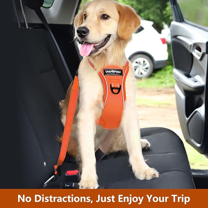 Dog Seat Belt Harness for Car, Dog Car Harness Adjustable Mesh Breathable & Dogs Seatbelt Safety Tether with Elastic Bungee for Small Medium Large Pets(Orange, L)-PawvioPets