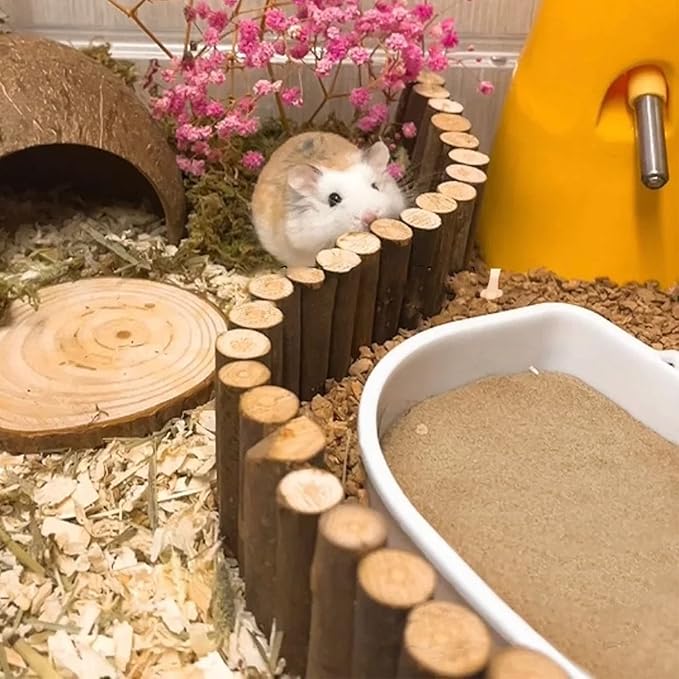 DR.DUDU Hamster Bath Sand, 6.6lb Dust Free Desert Sand or Potty Litter Sand for Hamster Chinchillas Gerbil Syrian Mice Small Animals (Beige)-PawvioPets