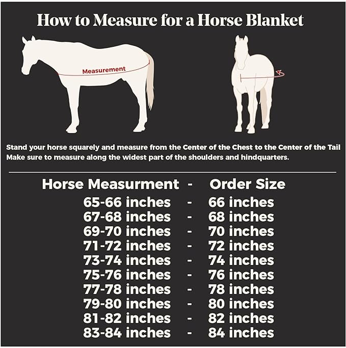 Dura-Nylon Horse Stable Sheet | Ultimate Comfort & Protection Horse Sheet | Keeps Coats Smooth & Shiny-PawvioPets