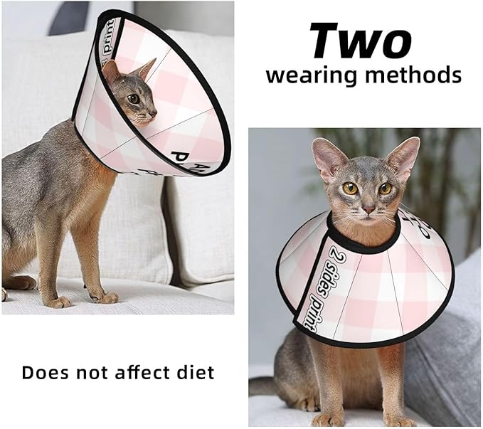 Custom Cat Cone Collar Soft Post-Surgery Comfort Pet Recovery Collar for Spay Safety Elizabethan Collar-PawvioPets