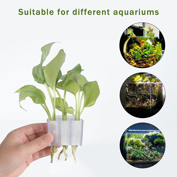 3 Holes Upgraded Aquatic Plant Cup Aquarium Plant Holder for Tank,Hanging Aquarium Plant Holder,Aquarium Aquatic Plant Cultivation,Aquarium Plant Decoration. (White 2PCS)-PawvioPets