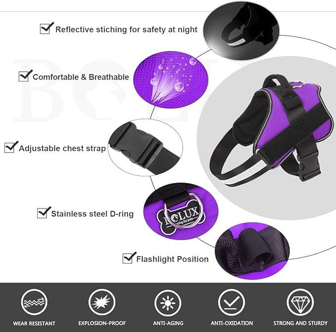 Bolux Dog Harness, No-Pull Reflective Dog Vest, Breathable Adjustable Pet Harness with Handle for Outdoor Walking - No More Pulling, Tugging or Choking (Purple, S)-PawvioPets
