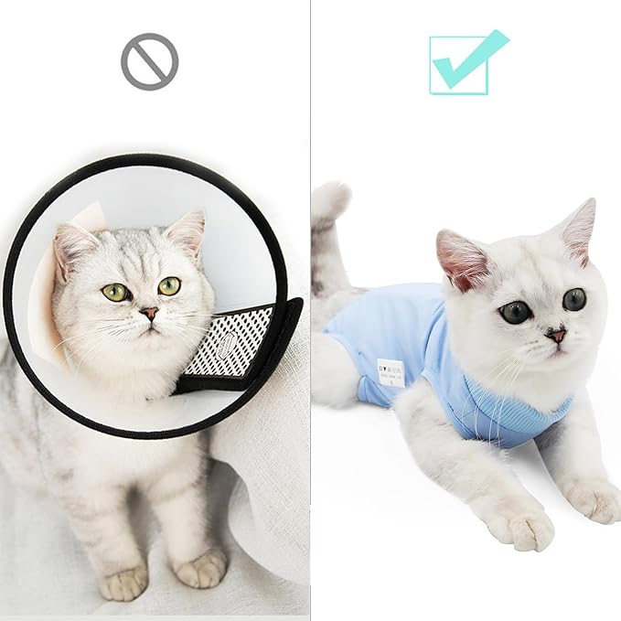 DOTON Cat Recovery Suit for Male and Female Surgical Post Surgery Soft Cone Onesie Shirt Clothes Neuter Licking Protective Diapers Outfit Cover Kitten Spay Collar(S, Blue)-PawvioPets