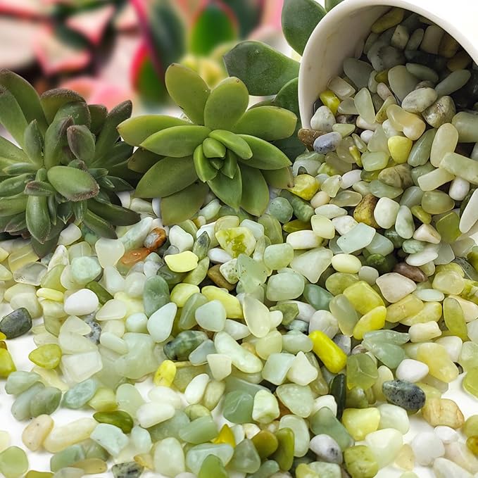 5 lbs Jade Pebbles for Indoor Plants,1/4 inch Polished Gravel Rocks for Plants, Succulents, Cactus, Vases, Terrarium and Outdoor Gardening-PawvioPets