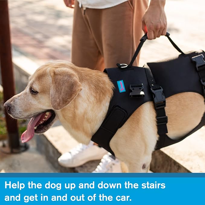 Dog Lift Harness, Rehabilitation Lifts Vest for Dogs, Support & Recovery Sling, Adjustable Breathable Lifting Straps for Old, Joint Injuries, Arthritis, Paralysis Dogs Walk (S, Black)-PawvioPets