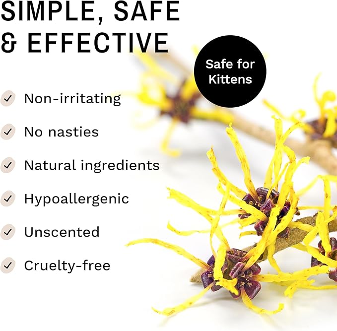 Eye Envy Tear Stain Wipes for Cats. Textured to Gently Clean, Treats The Cause of Staining. 100% Natural Formula. Recommended by Persian & Exotic Breeders, Vets, Groomers. USA Made. 60 Cat Eye Wipes-PawvioPets