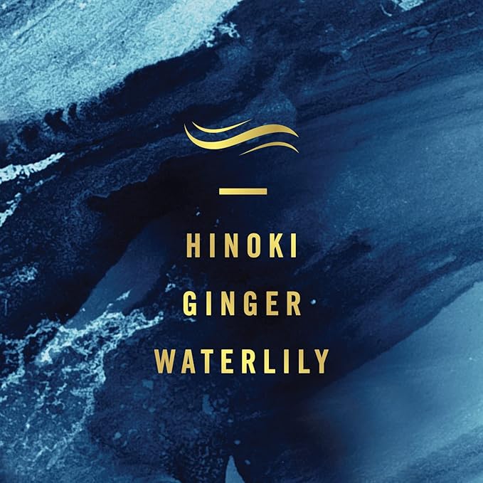 Febreze Small Spaces, Ocean, .25 fl. oz., Pack of 3-PawvioPets