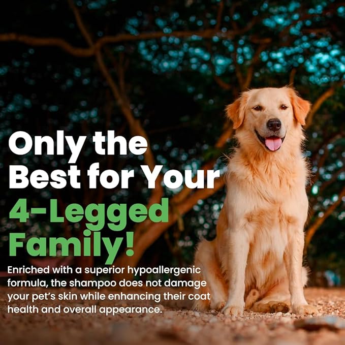 Best Shot Scentament Spa Tropical Breeze Seasonal Facial & Body Wash, 1 Gallon-PawvioPets