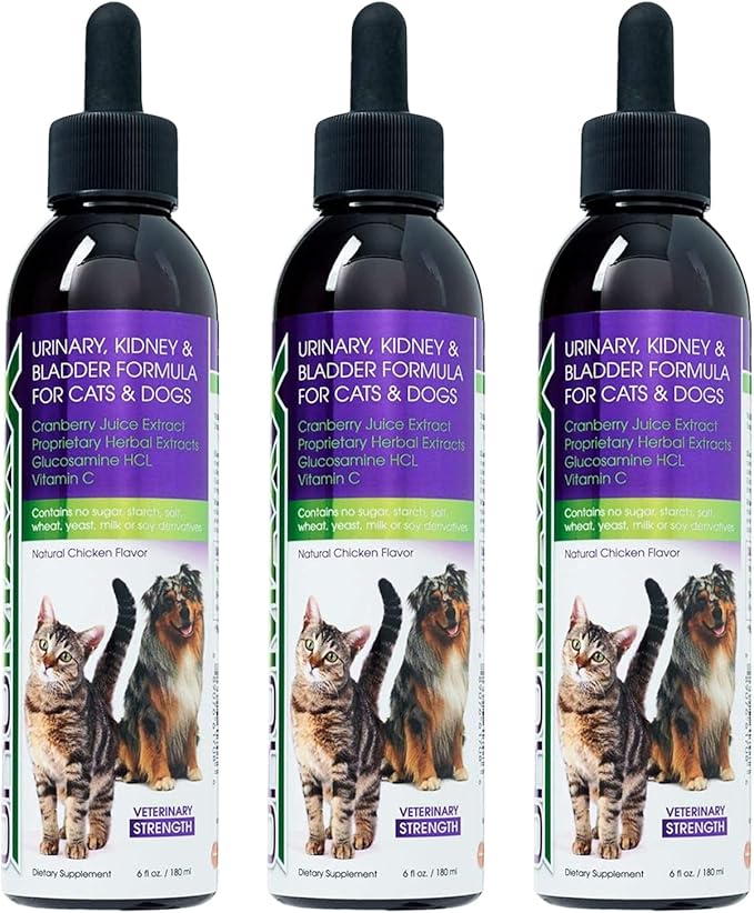 Cat & Dog Urinary Tract Treatment, Bladder & Kidney Support for Dogs and Cats, Powerful Yet Gentle Pet Care, with Liquid Cranberry & Glucosamine, Chicken Flavor, 6 oz Bottle, 3 Pack-PawvioPets
