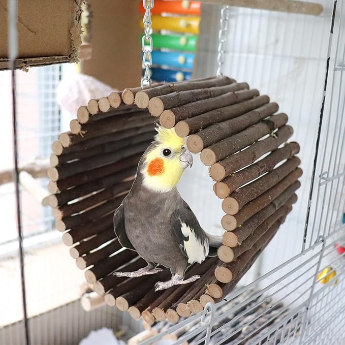 Bird Parrot Swing Toys, Hanging Bird Tree Caves, Natural Apple Wood Parrot Hammock, Bird Cage Accessories, Suitable for Little Bird Parakeets Cockatiels Lovebirds Hamster Rat (6.49" in Diameter)-PawvioPets