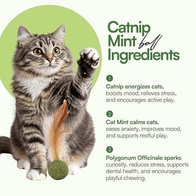 3 Pcs Catnip Balls with Feathers – Natural Catnip Toy for Play, Stress Relief & Healthy Enrichment Interactive Cat Toys Perfect for Indoor Cats & Kittens, Encourages Active Play & Wellness-PawvioPets