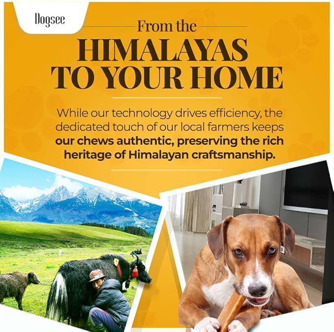 Dogsee Original Himalayan Yak Cheese Chews 1lb (XL - 3 Pieces) | Rawhide-Free | Long-Lasting | Fights Plaque & Tartar | Supports Dental Health-PawvioPets