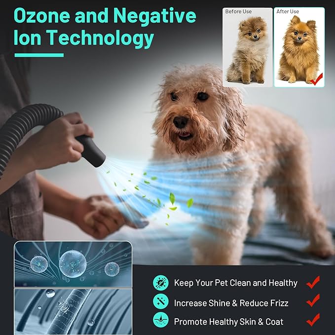 Dog Dryer High Velocity Dog Hair Dryer with 4 Nozzles 5.2HP/3800W (Professional Super Cyclone), Stepless Adjustable Speed Temperature Dogs Grooming Blow Dryer with Heater for Pets Hair Dryer, White-PawvioPets