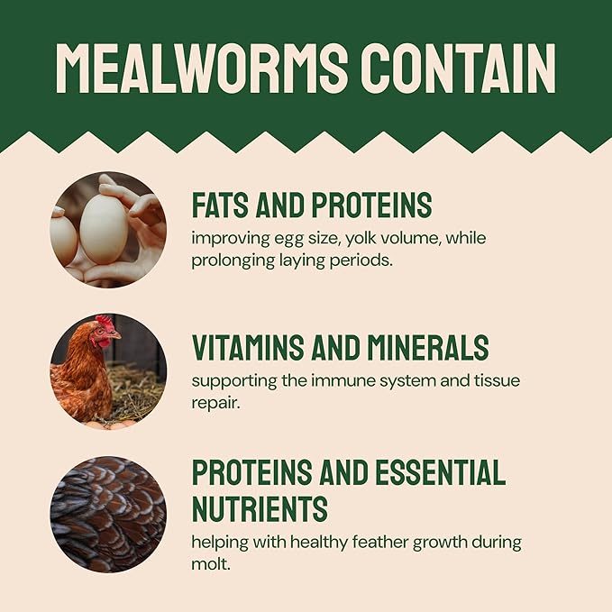 Bulk Dried Mealworms - 10 Lb Bag - Non-GMO Dried Mealworms for Chickens, Ducks & Wild Birds - High-Protein Chicken Feed & Bird Food-PawvioPets