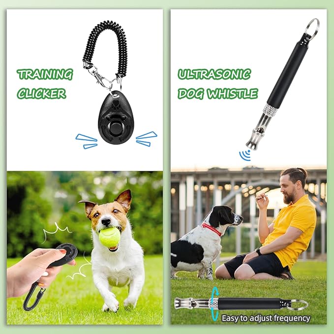 Dog Treat Pouch Pet Training Kit - Silicone Treat Bag Magnetic Closure, Puppy Training Clicker, Dog Whistle, Collapsible Dog Bowls, Poop Bags & Holder, 4 Ways to Wear Walking Fanny Pack-Black-PawvioPets