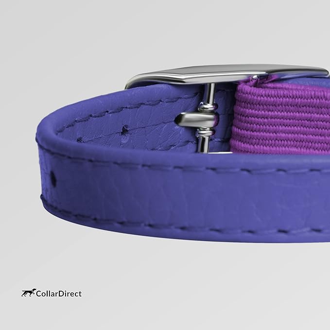 CollarDirect Leather Cat Collar, Kitten Collar with Removable Bell Black Blue Red Orange Lime Green (6-7 Inch, Purple)-PawvioPets