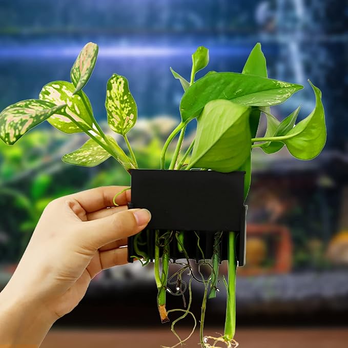Aquarium Plant Holder for Rimmed Tank, Aquarium Hanging Plant Holder, Plastic Aquatic Plant Pot with 5 Hole, Fish Tank Decorations for Aquatic Plants, 0.5 inch-PawvioPets