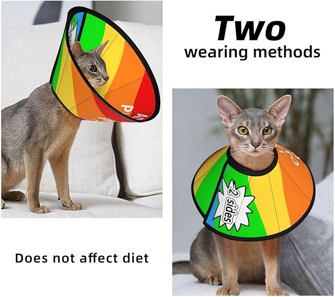 Custom Pet Cone Collar Lick Prevention Pet Recovery Collar for Neuter Safety Elizabethan Collar-PawvioPets