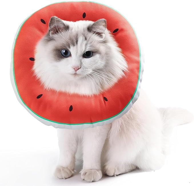 Cat Cone Collar Soft Kitten Donut, Cat Cones to Stop Licking After Surgery and Scratching, Waterproof Elizabethan e Collar for Cats After Neuter, Adjustable Comfy Cats Neck Cone Pillow for Kitty-PawvioPets