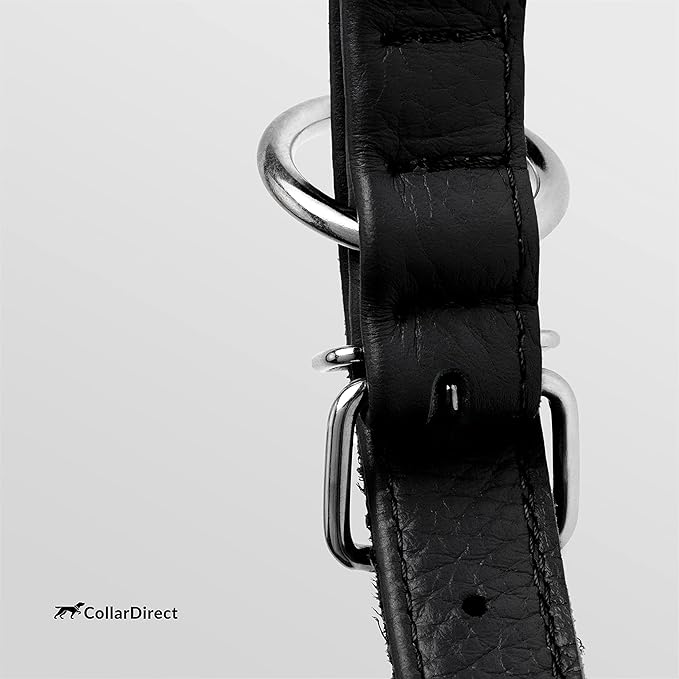 CollarDirect Rolled Leather Dog Collar, Soft Padded Round Puppy Collar, Handmade Genuine Leather Collar Dog Small Large Cat Collars 13 Colors (8-11 Inch, Black Textured)-PawvioPets