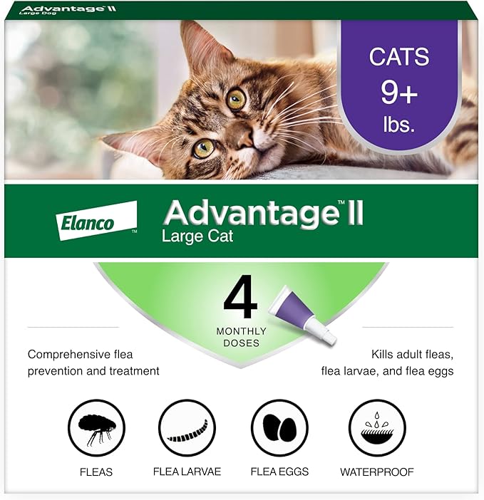 Advantage II Large Cat Vet-Recommended Flea Treatment & Prevention | Cats Over 9 lbs. | 4-Month Supply-PawvioPets