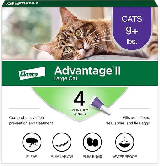 Advantage II Large Cat Vet-Recommended Flea Treatment & Prevention | Cats Over 9 lbs. | 4-Month Supply-PawvioPets