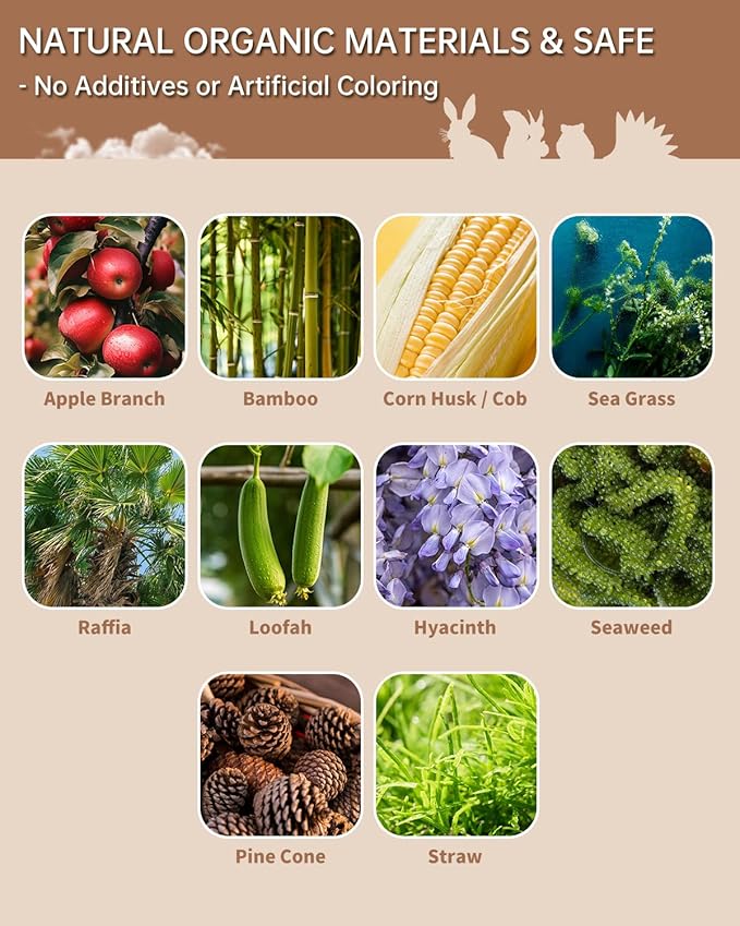 31PCS Rabbit Chew Treat Toys for Teeth Health, Natural Bunny Enrichment Toys for Boredom & Stress Relief, Keep Busy Toys for Guinea Pig Chinchilla Hamster Rat Gerbil Degu Indoor Outdoor-PawvioPets