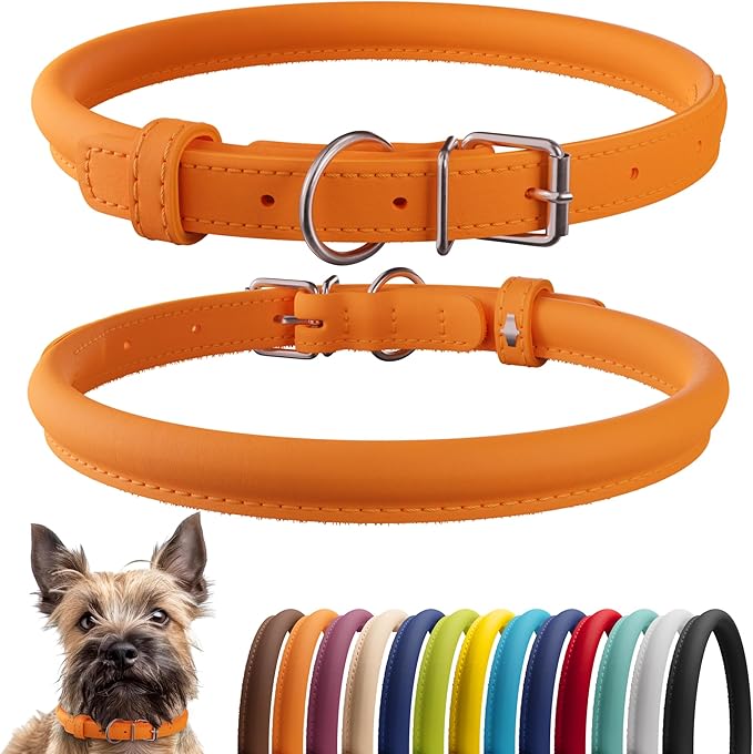 CollarDirect Rolled Leather Dog Collar, Soft Padded Round Puppy Collar, Handmade Genuine Leather Collar Dog Small Large Cat Collars 13 Colors (6 Inch, Orange Smooth)-PawvioPets