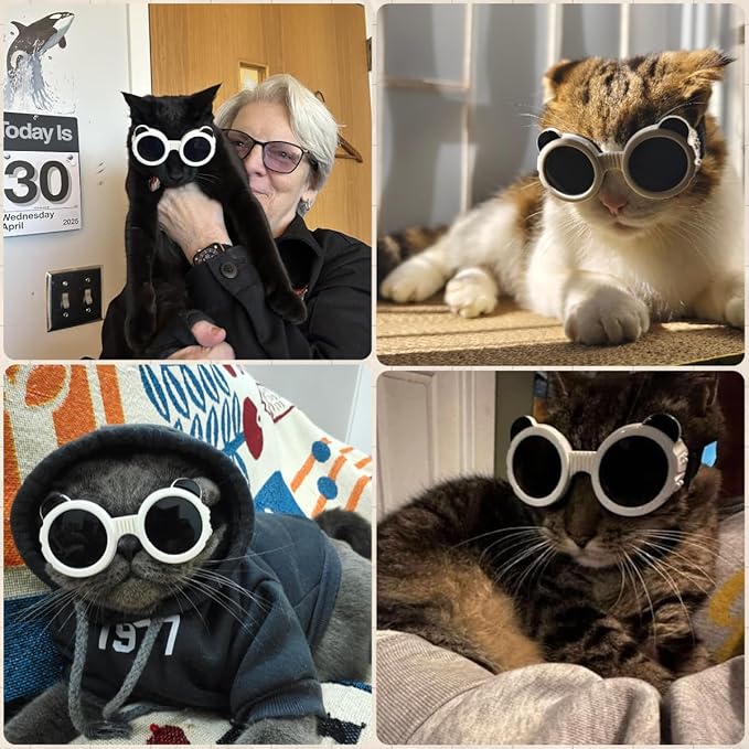 Dog Goggles for Small Breed UV/Wind/Dust Protection Puppy Sunglasses with Adjustable Strap - White-PawvioPets