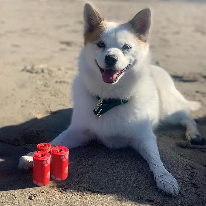Best Pet Supplies Dog Poop Bags (240 Bags) for Waste Refuse Cleanup, Doggy Roll Replacements for Outdoor Puppy Walking and Travel, Leak Proof and Tear Resistant, Thick Plastic - Red-PawvioPets