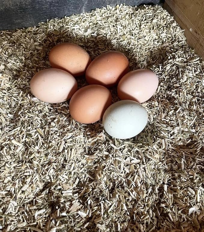 Eaton Pet and Pasture, Naturally Grown Hemp Pet Bedding for Chickens, Nesting Boxes, Rabbits, Hamsters, Small Pets, Highly Absorbent, Hypoallergenic, Eco-Friendly, Farmer Owned 28L-PawvioPets