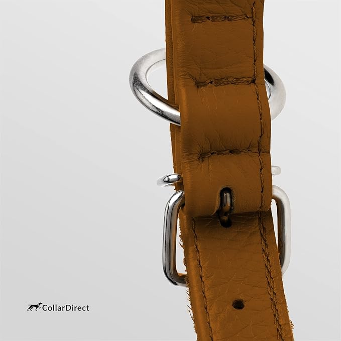 CollarDirect Rolled Leather Dog Collar, Soft Padded Round Puppy Collar, Handmade Genuine Leather Collar Dog Small Large Cat Collars 13 Colors (11-14 Inch, Cinnamon Textured)-PawvioPets
