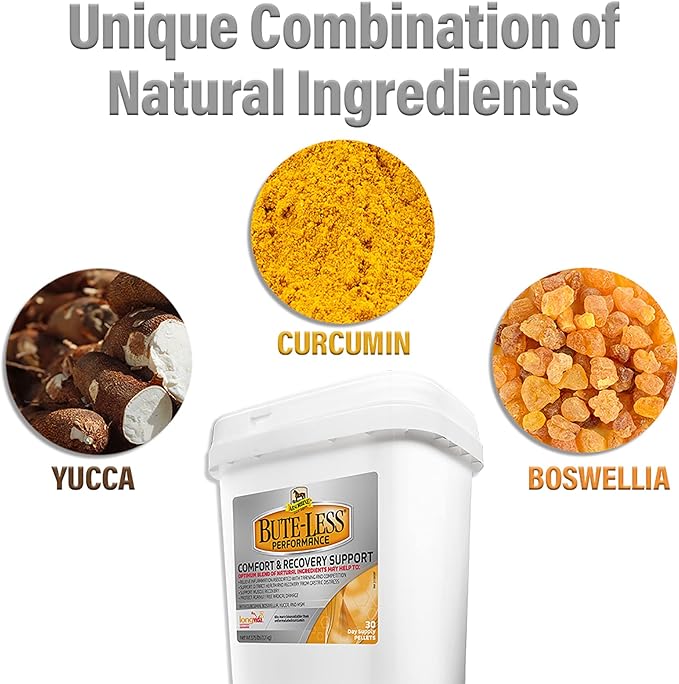 Absorbine Bute-Less Performance Advanced Formula Horse Supplement Pellets, Supports Healthy Inflammatory Response & GI Tract, 3.75lb Tub / 30 Day Supply-PawvioPets