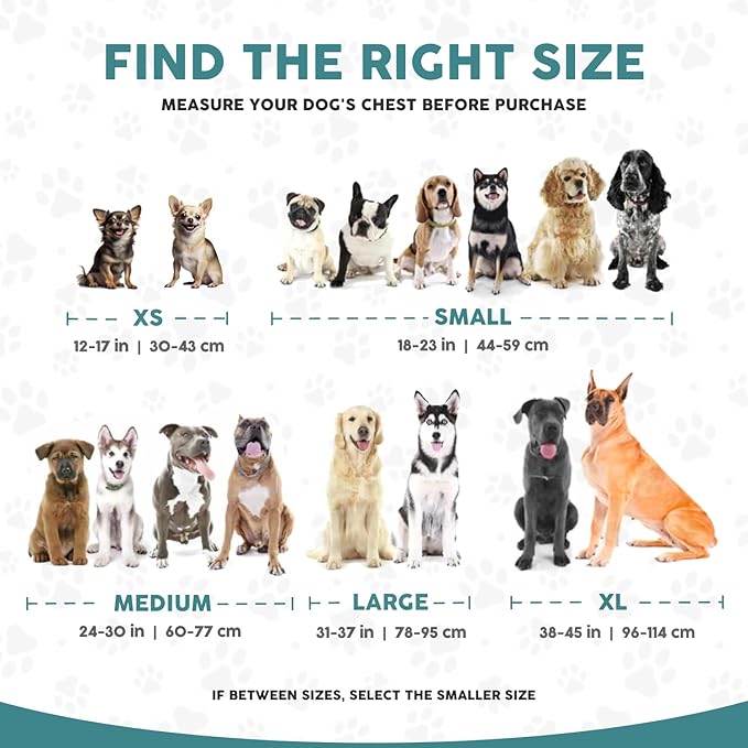 Embark Adventure Dog Harness, Reflective Trim XL Dog Harness for Extra Large Dogs No Pull - Military Grade Nylon, 2 Leash Clips & Gel Lined Handle.-PawvioPets