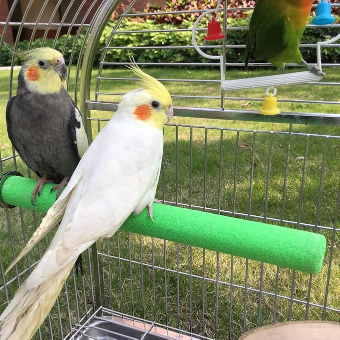 Bird Perch Rough-surfaced Nature Wood Stand Toy Branch for Parrots-PawvioPets