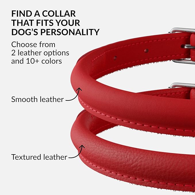 CollarDirect Rolled Leather Dog Collar, Soft Padded Round Puppy Collar, Handmade Genuine Leather Collar Dog Small Large Cat Collars 13 Colors (6 Inch, Red Smooth)-PawvioPets