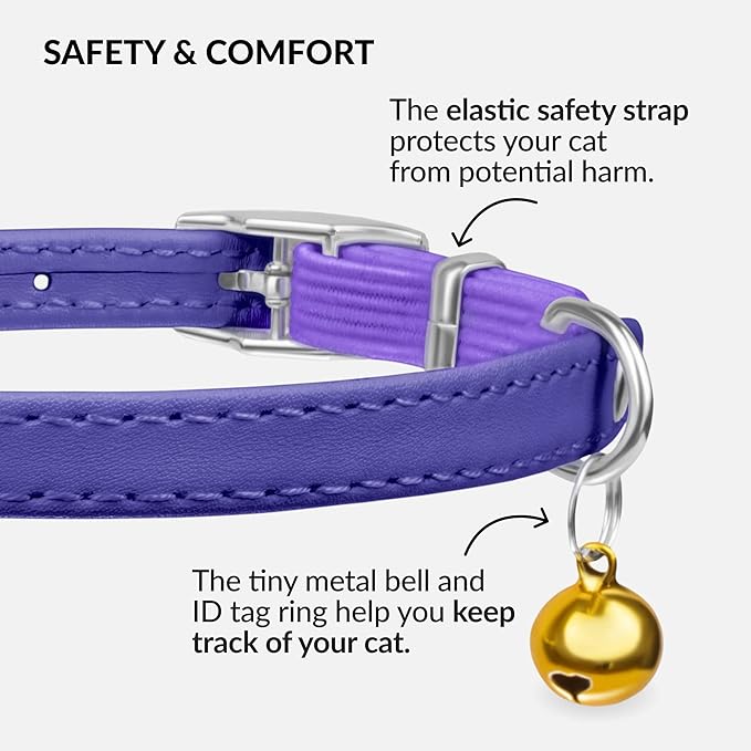 CollarDirect Leather Cat Collar with Bell - Kitten Collar, Small and Big Cat Strap for Boy Cats, Girl Cats with Safety Elastic Strap (Neck Fit 6"-7", Purple)-PawvioPets