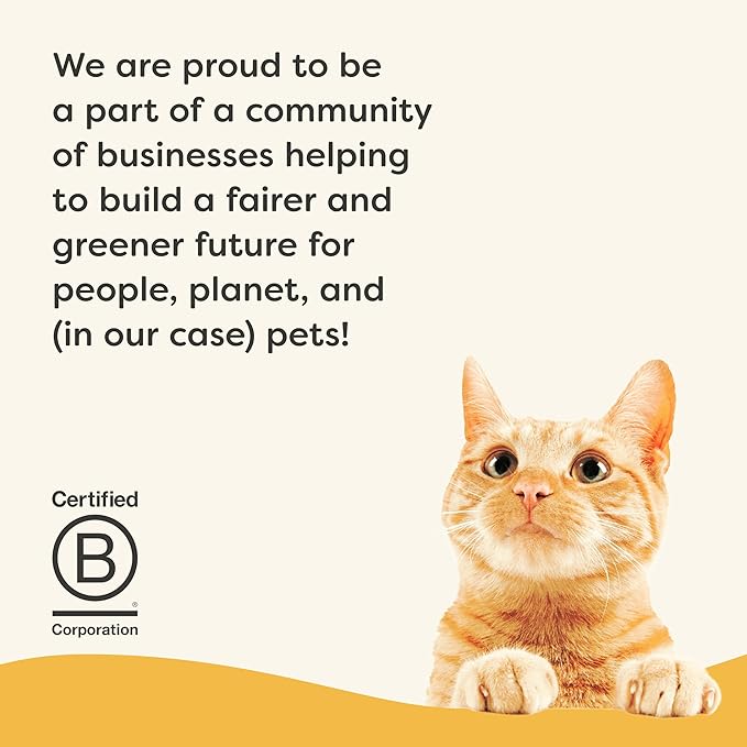 Applaws Vitality Wet Cat Food in Broth, Natural Canned Cat Food, Wet Food for Cats with Added Vitamins and Minerals, Grain Free, Carrageenan Free, Chicken Breast in Broth (24 Count, 5.5oz Cans)-PawvioPets